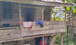 Pondok Kebun tempat ditemukannya AA 54 Tahun Warga Rejang Lebong