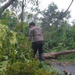 Personil TNI/Polri Bersihkan Pohonn Tumbang Dan Material LOngsor di Jalan Lintas Curup-Lebong