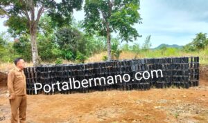 Hedi Perindo Kadis Pertanian dan Perikanan Lebong