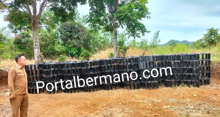 Hedi Perindo Kadis Pertanian dan Perikanan Lebong