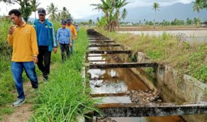 Kabid SDA PUPR-Hub Lebong Arman Yunizar ST sa'at meninjau BK 15 yang kekeringan