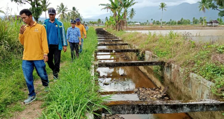 Kabid SDA PUPR-Hub Lebong Arman Yunizar ST sa'at meninjau BK 15 yang kekeringan