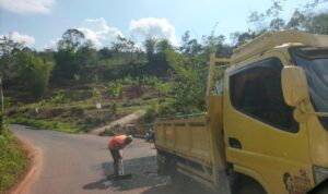 Perbaikan Tambal sulam