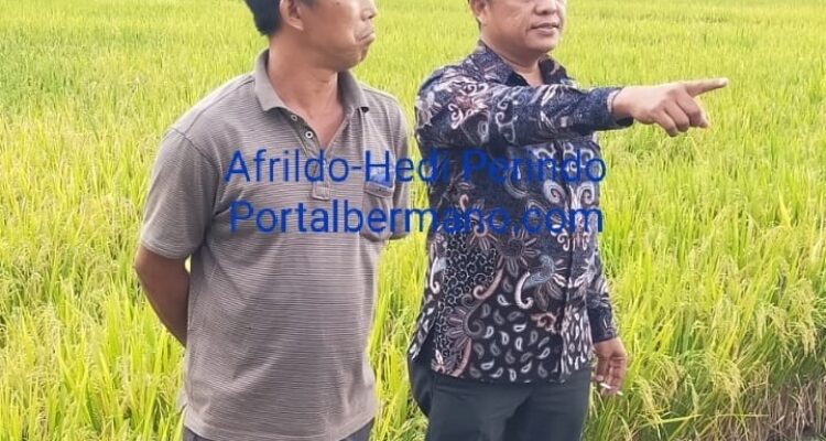 Afrildo kades Talang LIak II (kiri) bersama Kadisperkan Lebong Hedi Perindo Afrildo kades Talang LIak II (kiri) bersama Kadisperkan Lebong Hedi Perindo