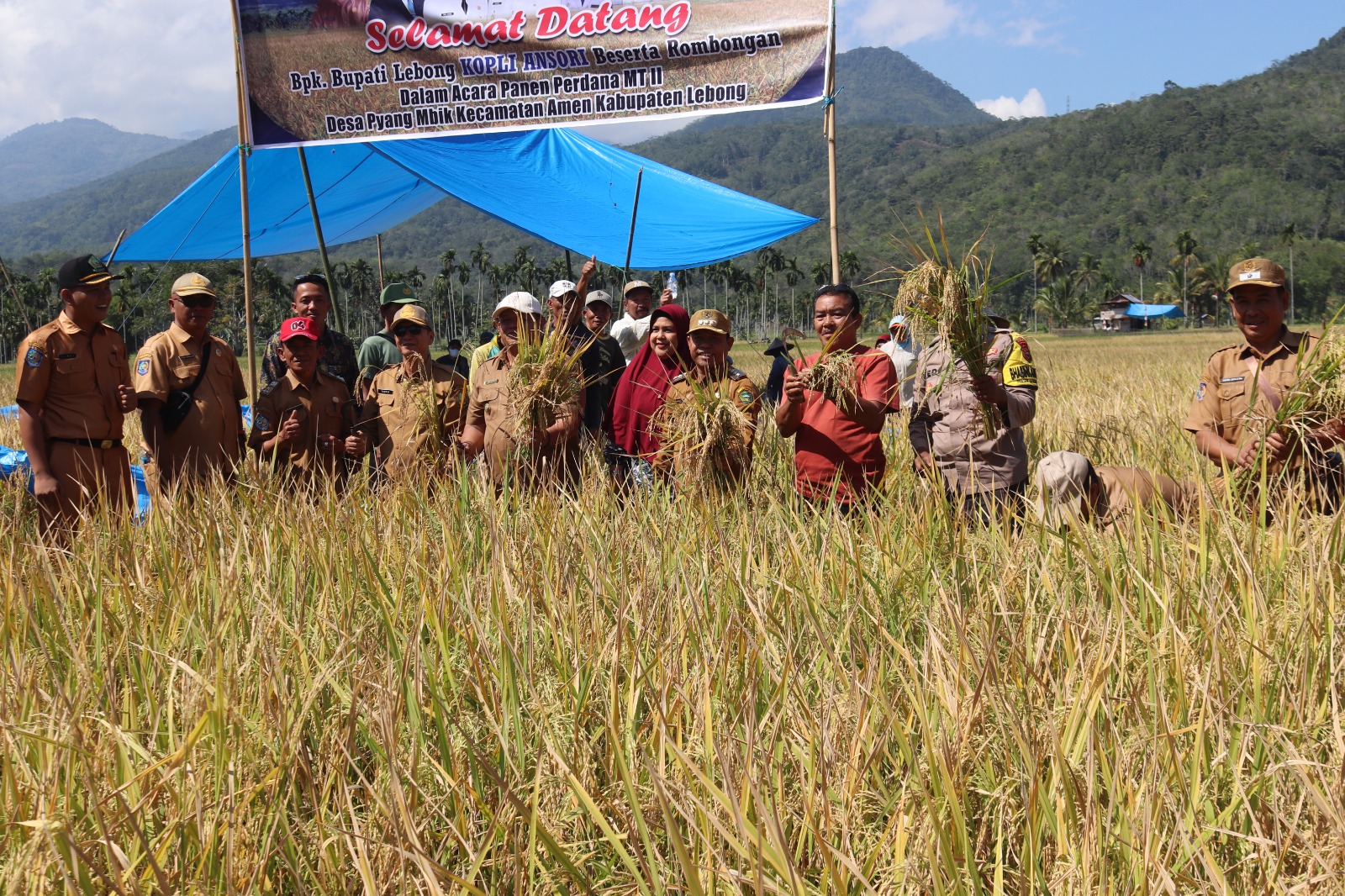 Bupati Lebong Kopli Ansori Panen Raya MT-2 Desa Pyang Mbik kecamatan Amen