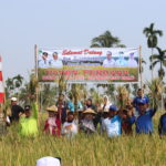 Perdana MT-2 Karang Dapo Bawah