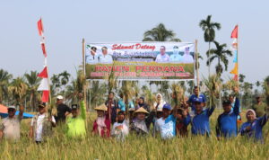 Perdana MT-2 Karang Dapo Bawah