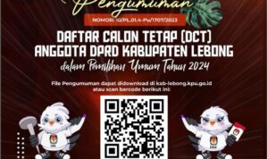 Pengumuman DCT