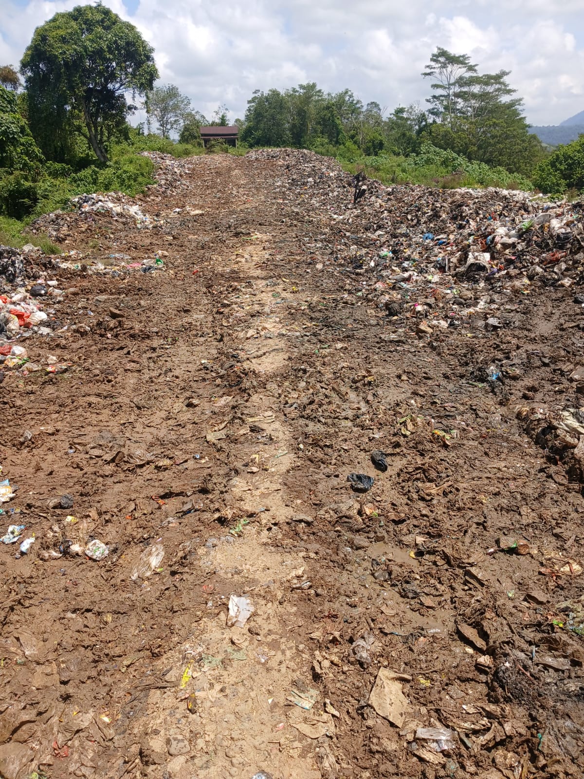 fhoto : dokumen DLH Lebong