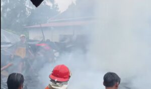kebakaran Tik Tebing